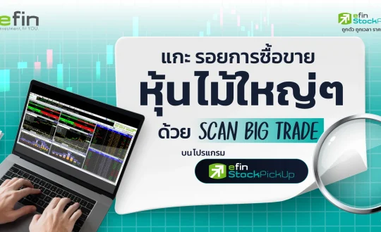 หาหุ้นไม้ใหญ่
