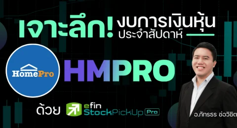 hmpro financial statement