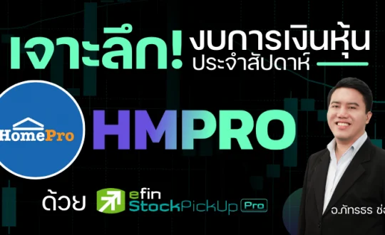 hmpro financial statement