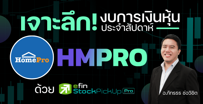 hmpro financial statement